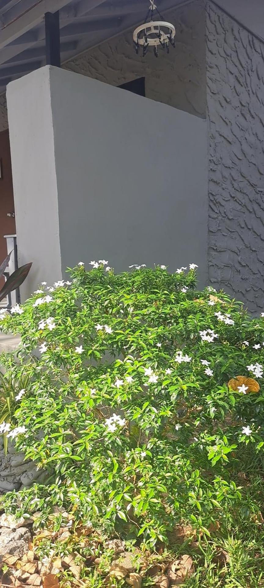 Siam Flora Resort Koh Lanta Exterior foto