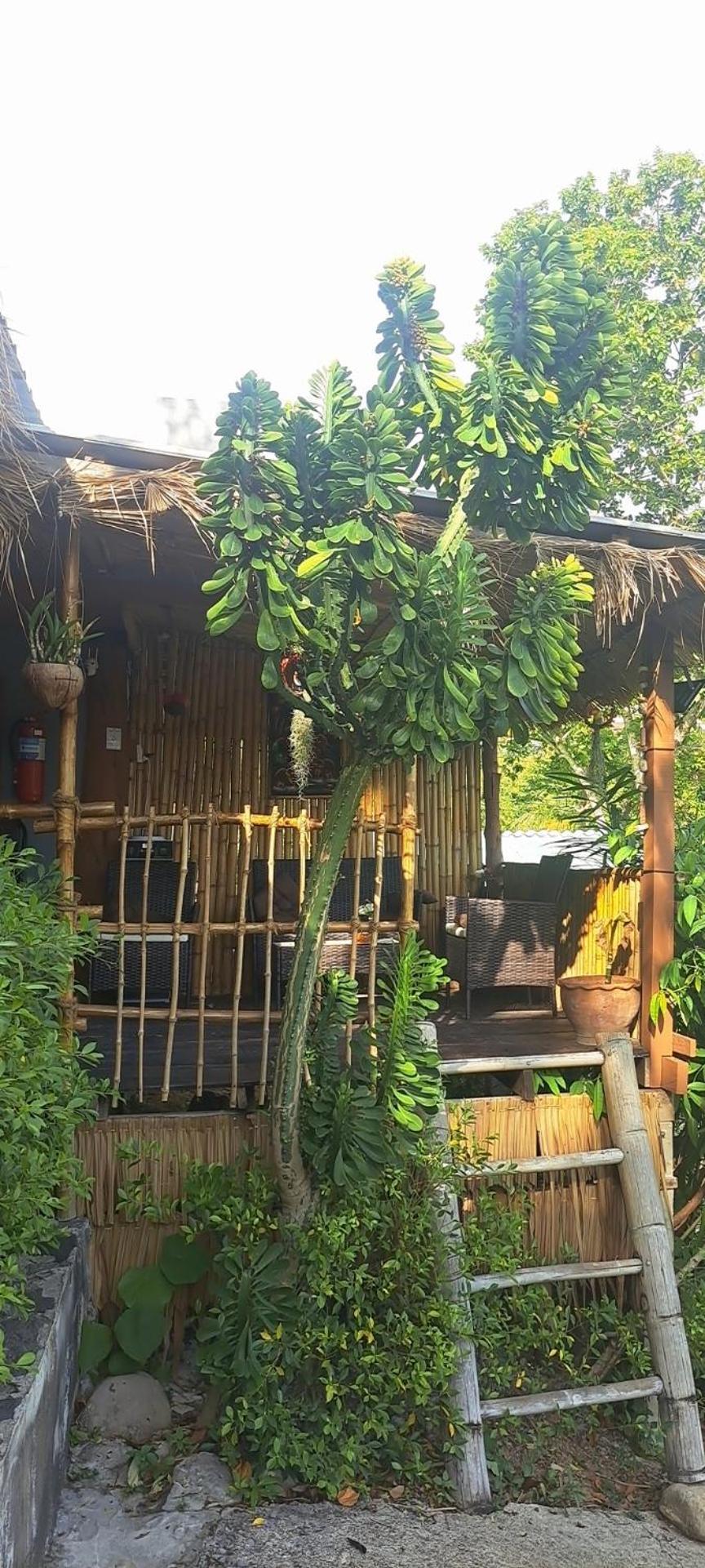 Siam Flora Resort Koh Lanta Quarto foto